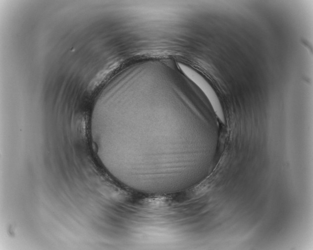 X0000099380120200805291136