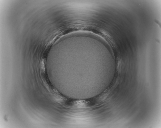 X0000099380121200805291136