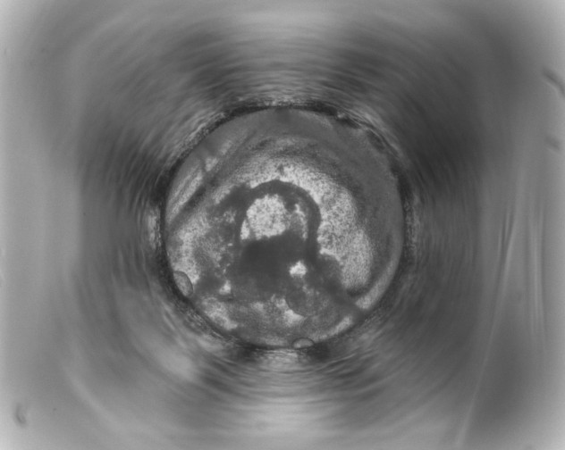 X0000099380123200805291136