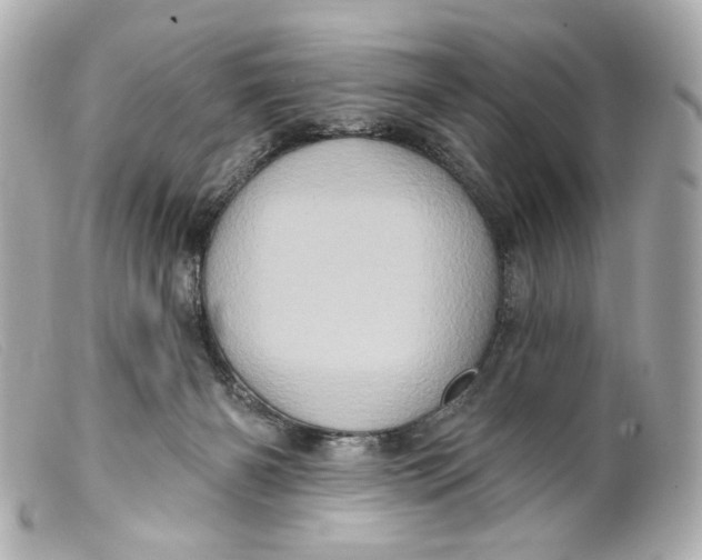 X0000099380126200805291136