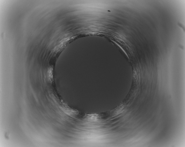 X0000099380127200805291136