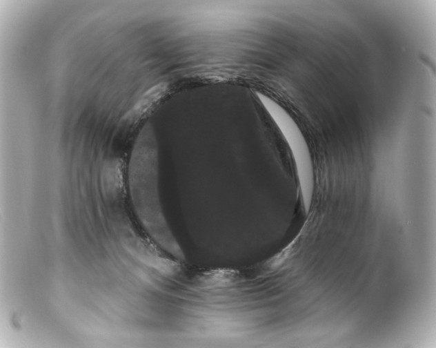 X0000099380128200805291136