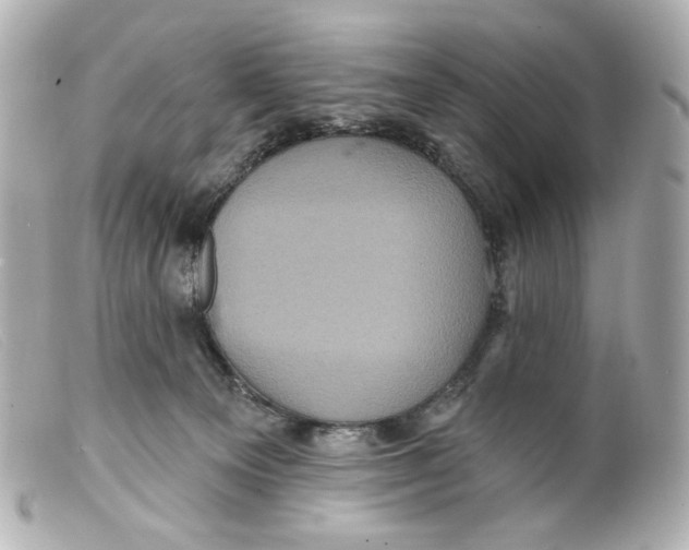 X0000099380129200805291136
