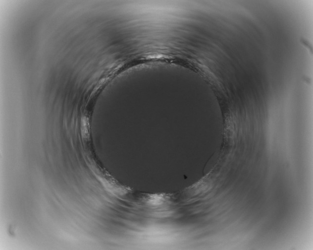 X0000099380130200805291136