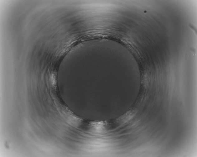 X0000099380131200805291136
