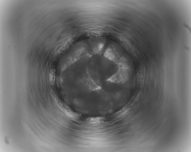 X0000099380134200805291136