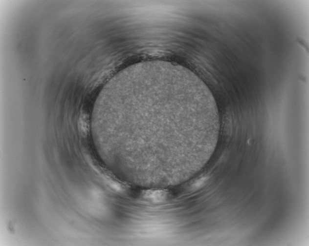 X0000099380135200805291136