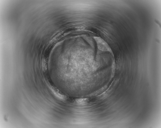 X0000099380136200805291136