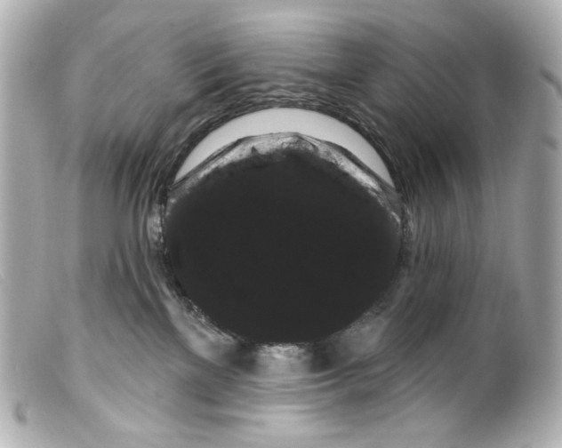 X0000099380137200805291136