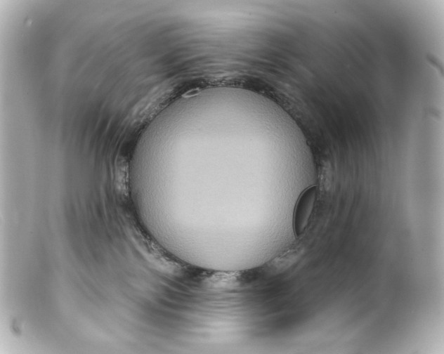 X0000099380138200805291136
