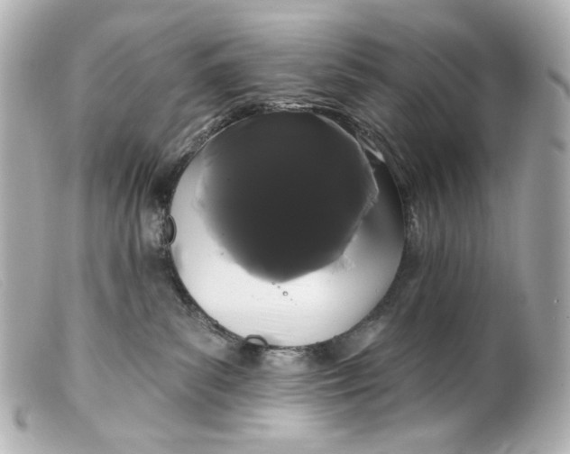 X0000099380139200805291136