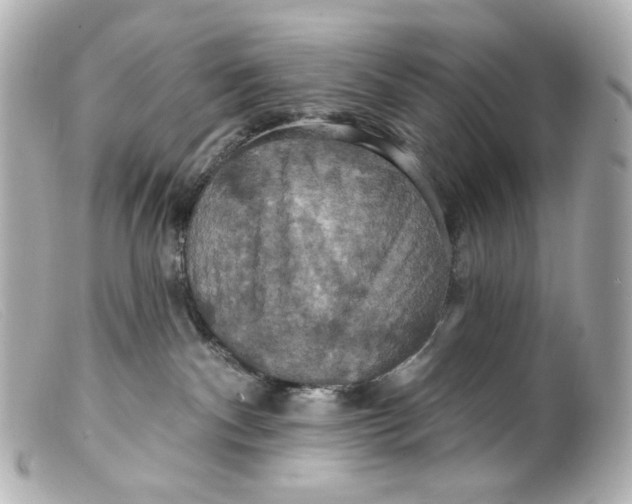 X0000099380140200805291136