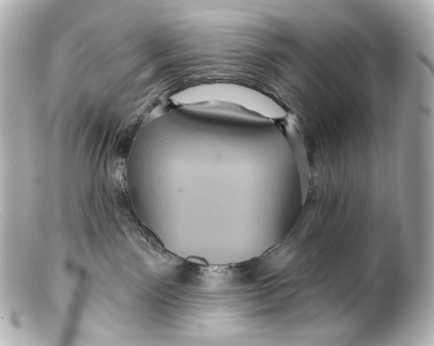 X0000099380141200805291136