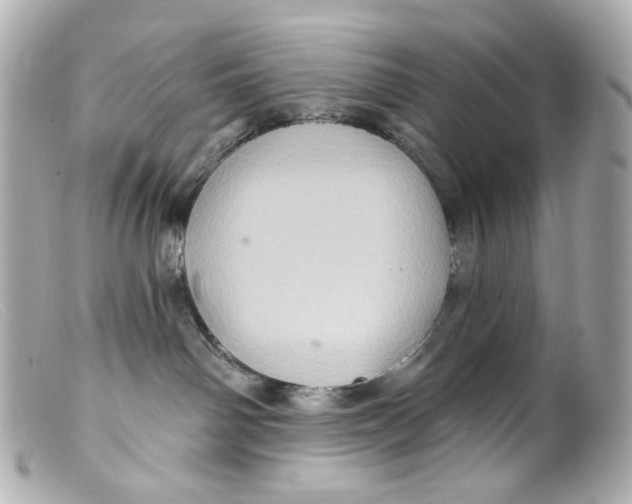 X0000099380142200805291136