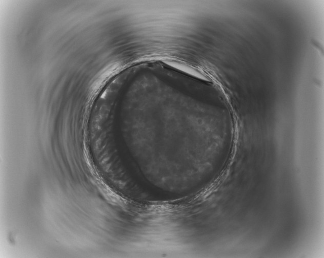 X0000099380145200805291135