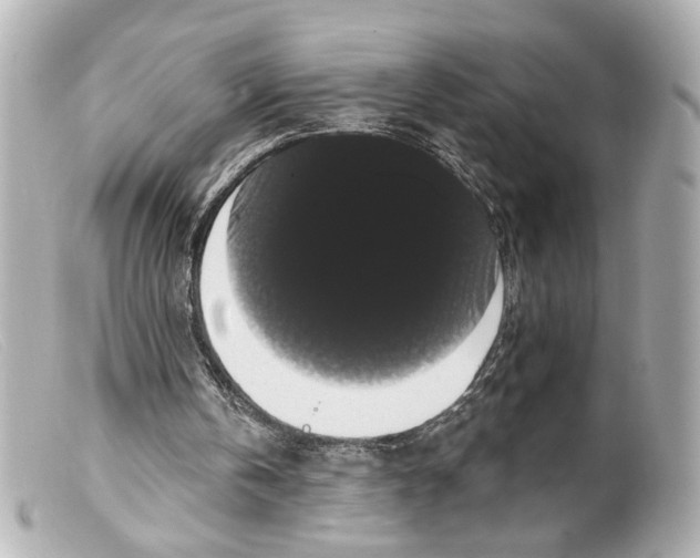 X0000099380146200805291135