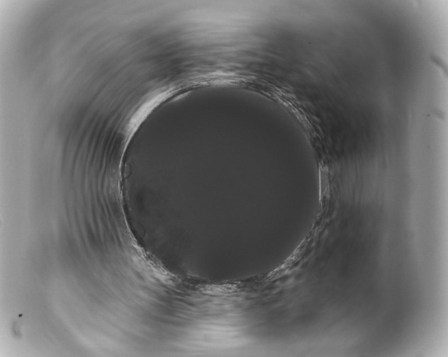 X0000099380147200805291135