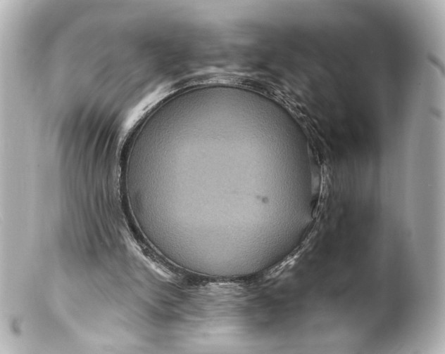 X0000099380150200805291135