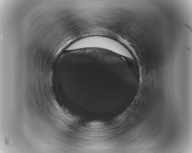 X0000099380154200805291136