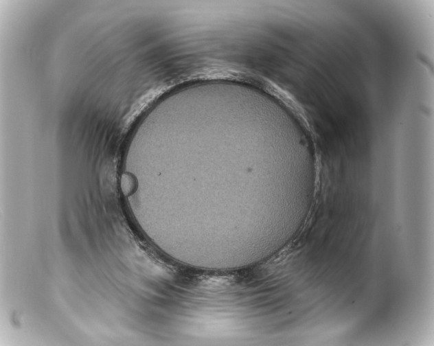 X0000099380155200805291136