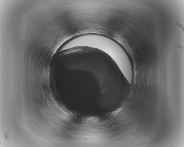 X0000099380156200805291136
