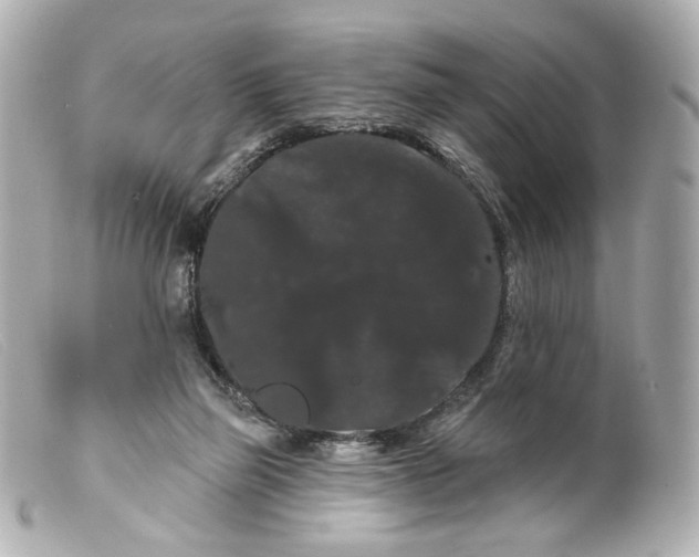 X0000099380165200805291136