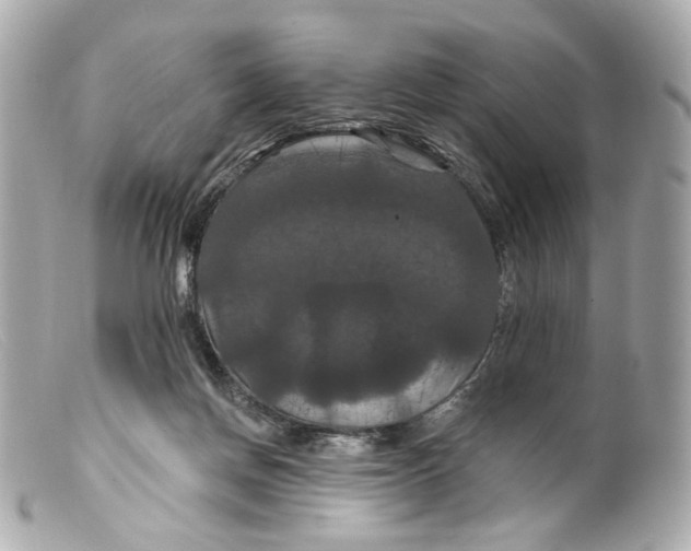 X0000099380166200805291136