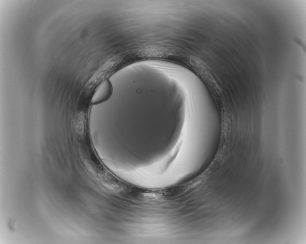 X0000099380167200805291136