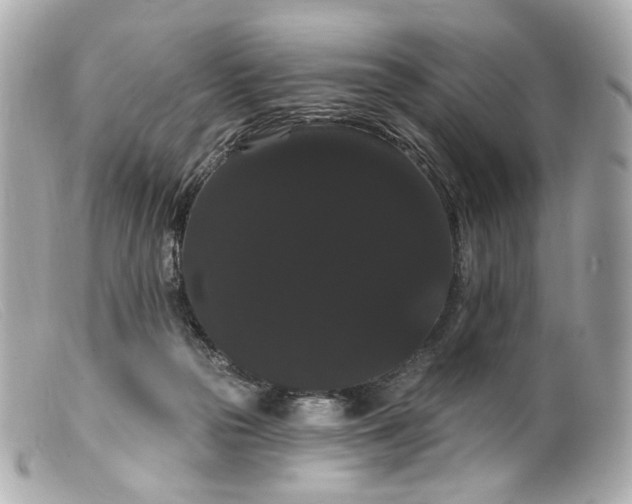 X0000099380169200805291136