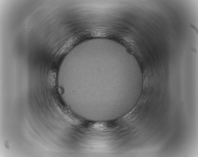 X0000099380171200805291136