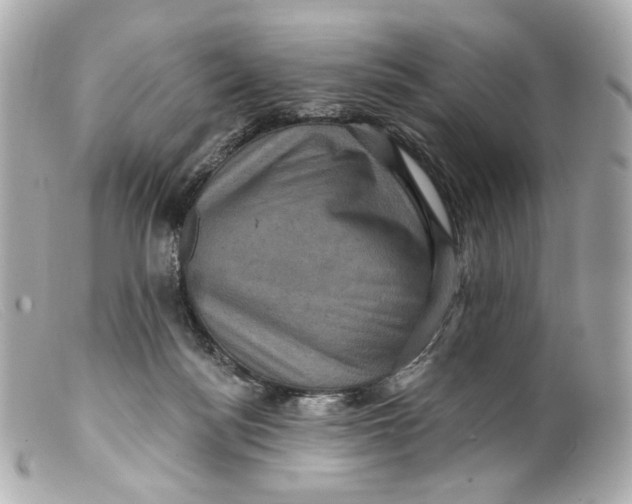 X0000099380172200805291136