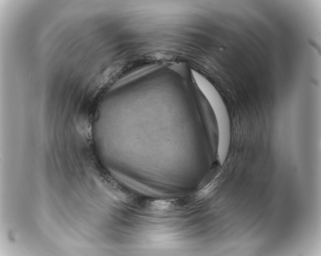 X0000099380176200805291136