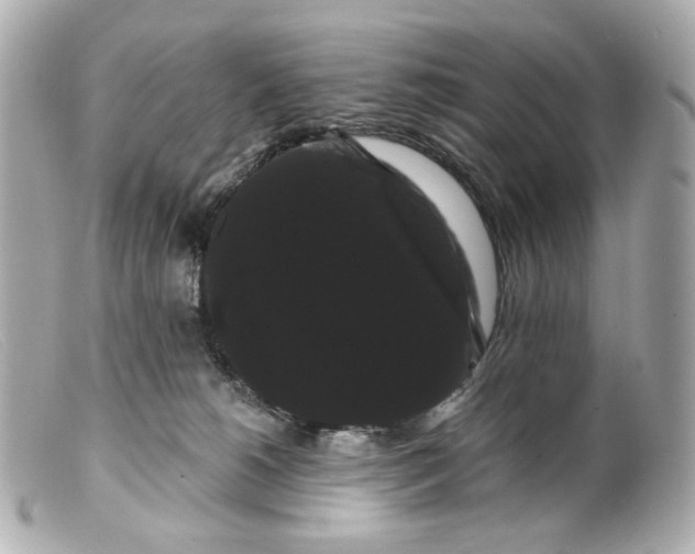 X0000099380180200805291136