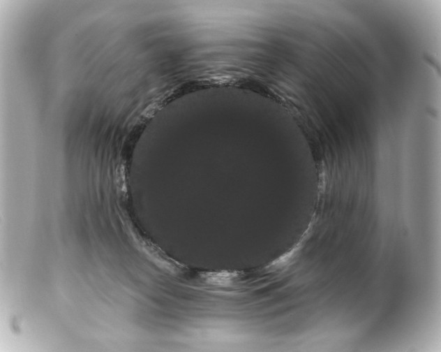 X0000099380182200805291136