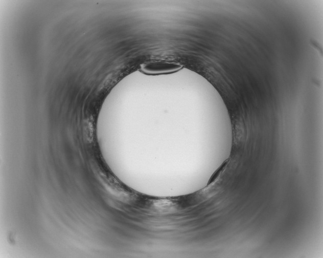 X0000099380183200805291136