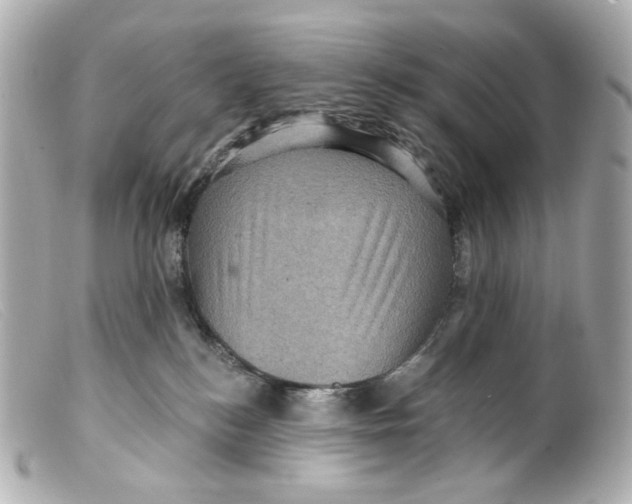 X0000099380184200805291136