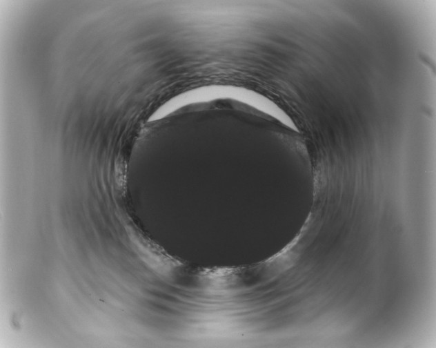 X0000099380186200805291136