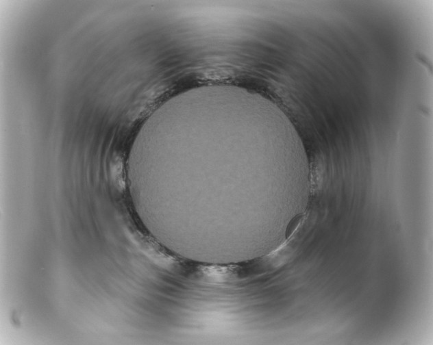 X0000099380187200805291136
