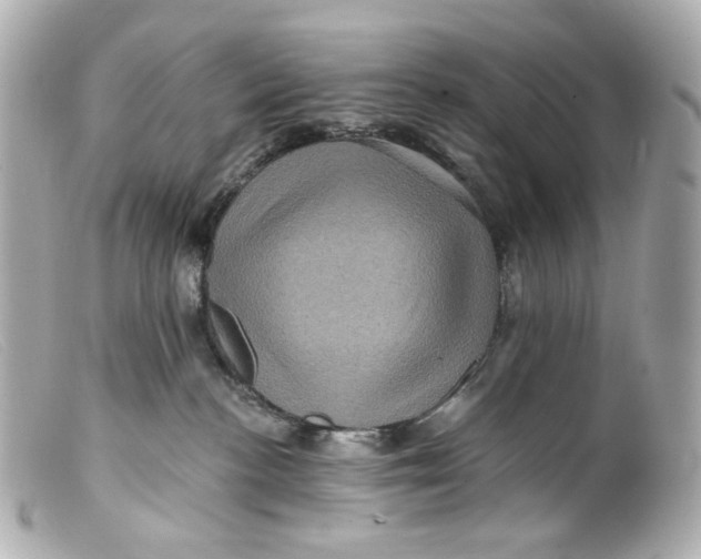 X0000099380188200805291136