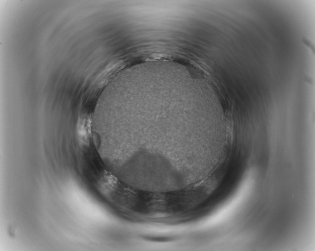 X0000099380191200805291136
