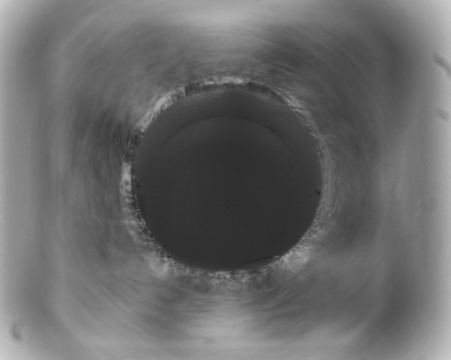 X0000099380192200805291136
