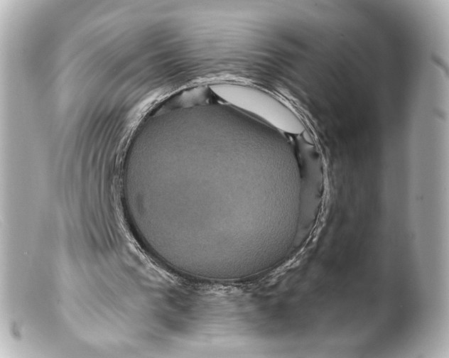 X0000099380193200805291135