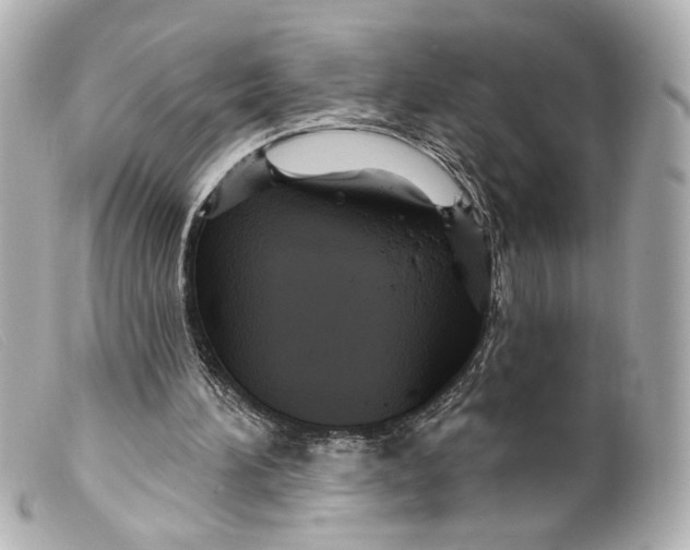 X0000099380196200805291135