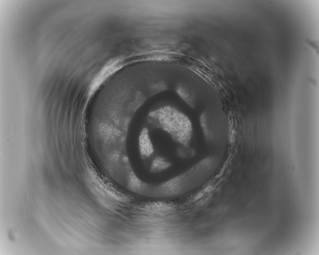 X0000099380198200805291135