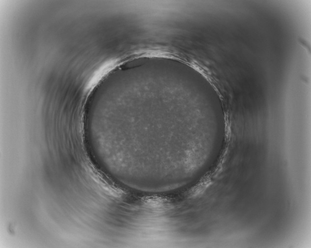 X0000099380199200805291135