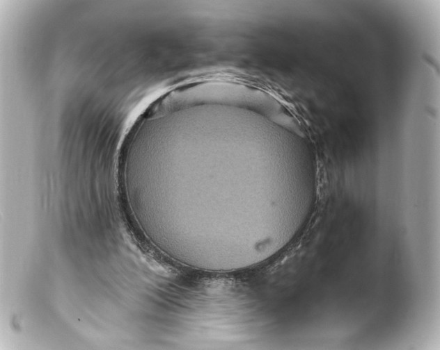 X0000099380200200805291135