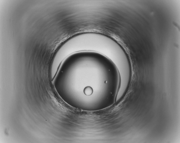 X0000099380201200805291135