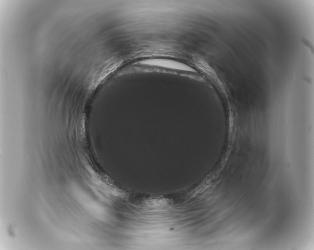 X0000099380202200805291135