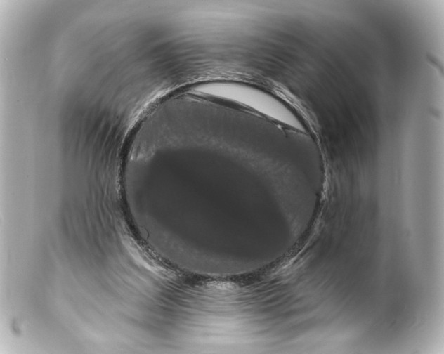 X0000099380203200805291135