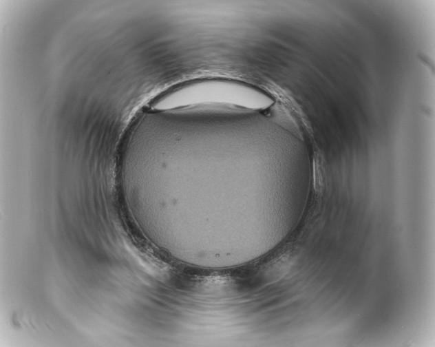 X0000099380204200805291135